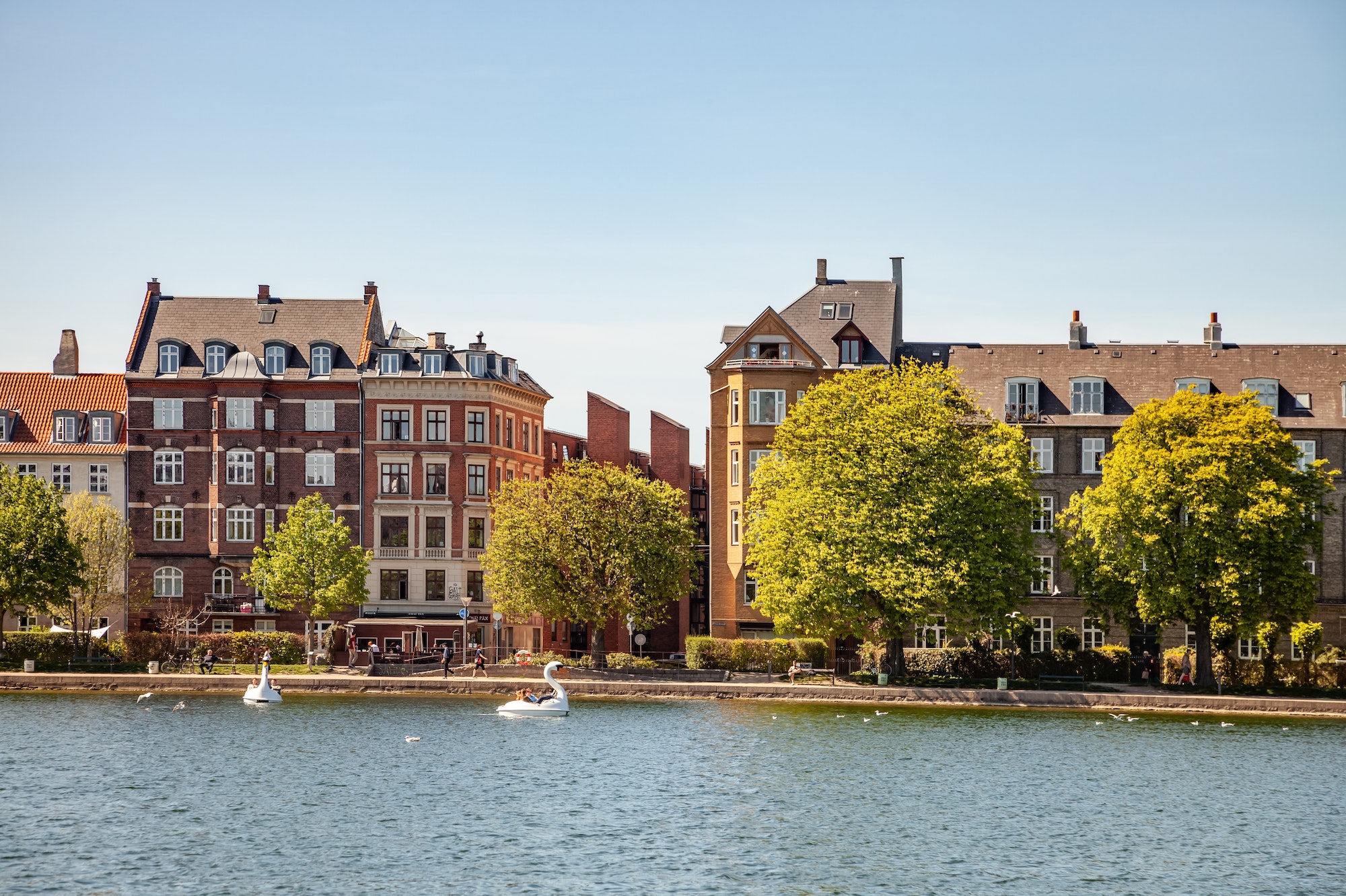 COPENHAGEN, DENMARK - MAY 6, 2018: catamarans shaped of swans on river in front of buildings